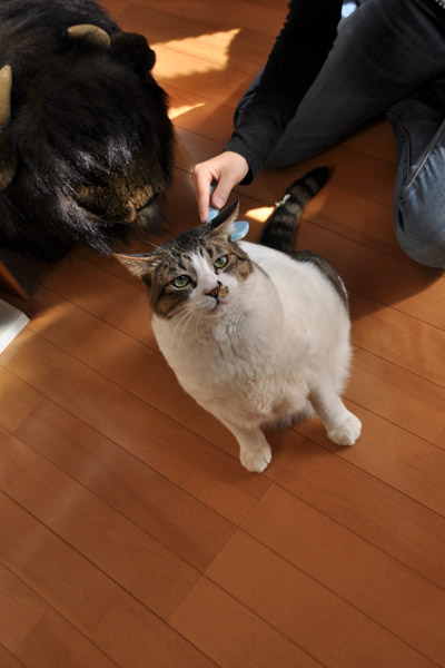 こっちの方が好きなのね〜。