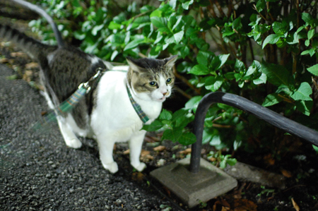何か見つけた?