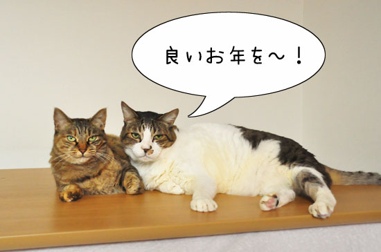 またね〜!