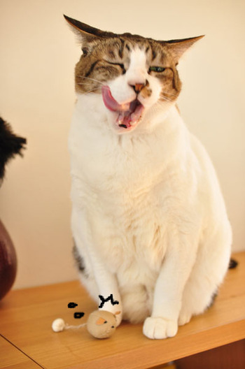 ぺろーん。