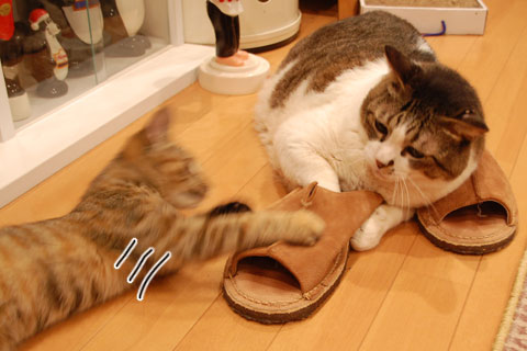 Ĩ��ʤ������餵��