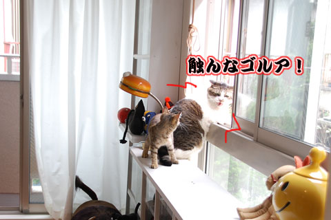 �ܤ�����ä�������