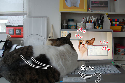 �ɥå��ꡣ