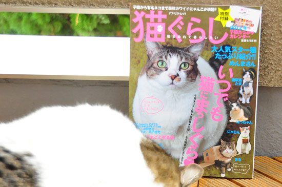 嬉しいな〜。