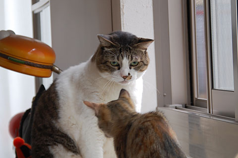 �����뤥�����Ĥ��ʤ����᤹ܶ���ǭ�����