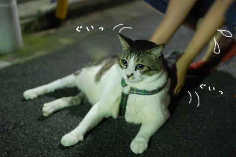 ごろりんしすぎ!