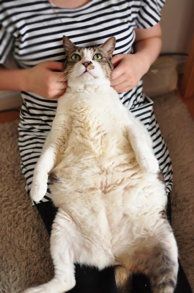 �Ǥ�����ȿȤ�Ѥͤ�