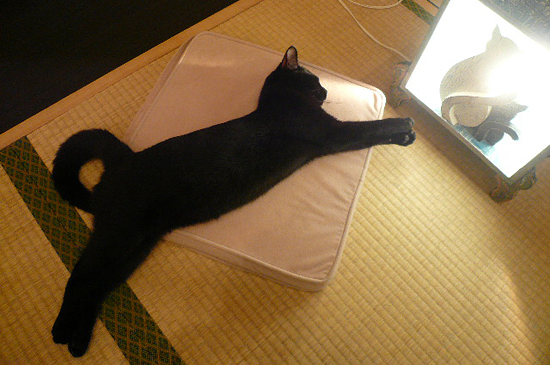 sato���繥���ʥ����ͥ�����