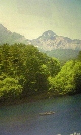 47e3591f.jpg