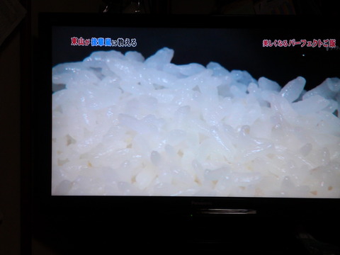 2011_0115_230033-SN3O0007