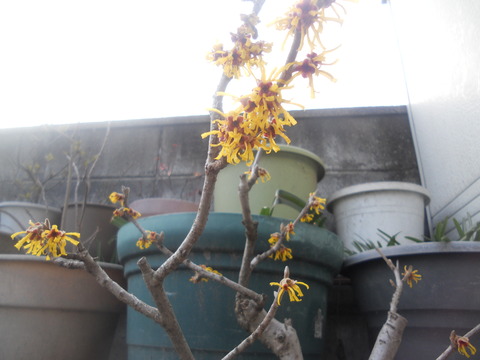 DSCN2972