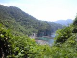 南伊豆2009夏
