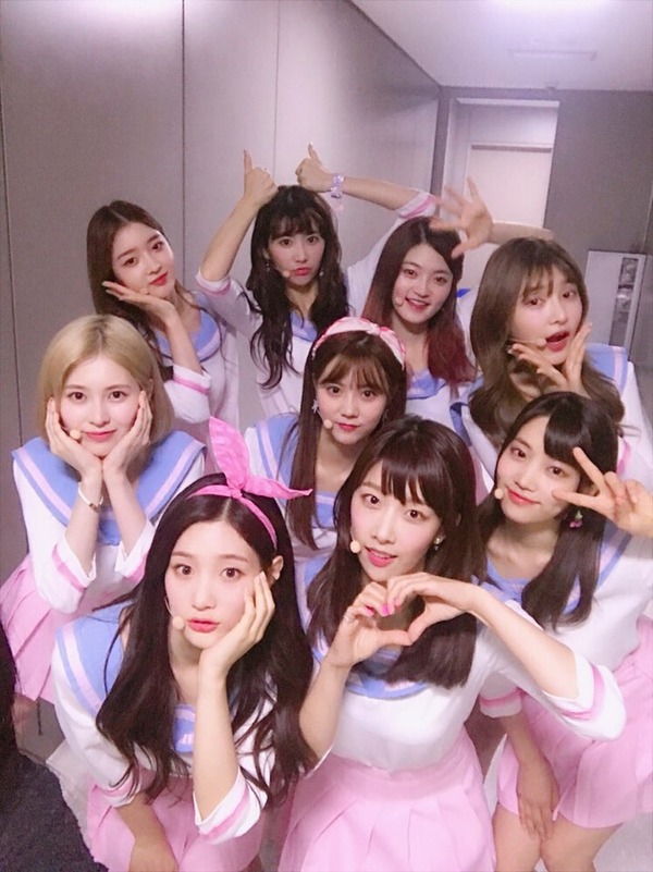 dia521