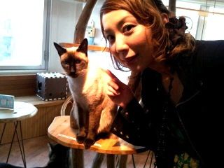 nekocafe