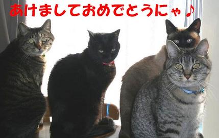 ��ǯ
