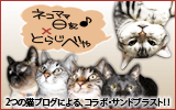 http://yukomiyawaki.com/ck_tr/¤Ø