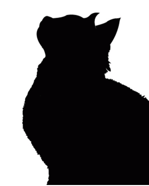 http://nekomama.boy.jp/¤Ø