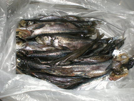PC060001