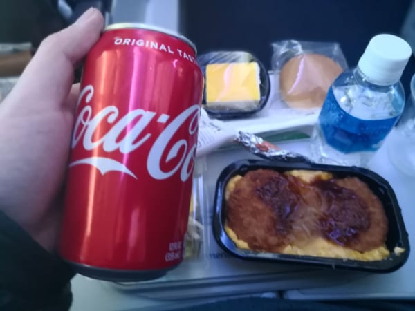 sirabee20180303amerikanairlines001-600x450