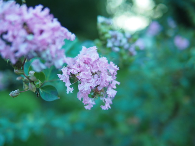 P9230237