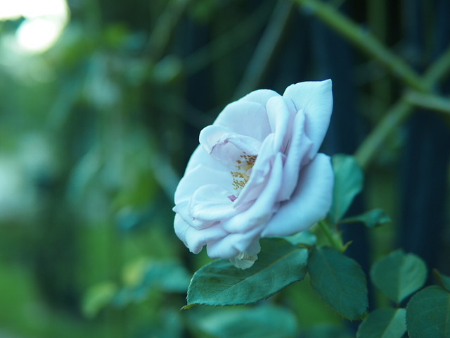 P9230209