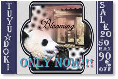 Blooming information☆