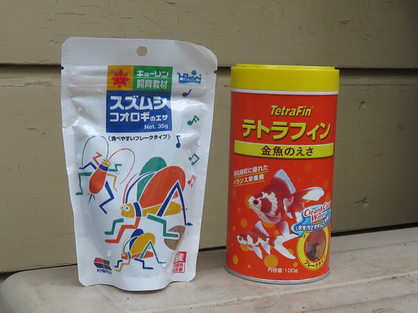 korogi4