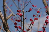 2008022702