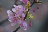 2008022502