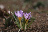 2008030205