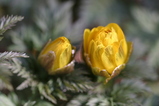 2008022402