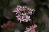 2008030201