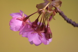 2008022404