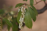 2008030203