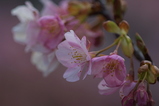 2008022401