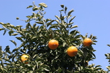 2008022705