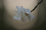 2008022403