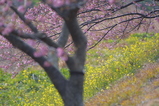 2008022402