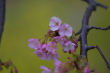 2008022403