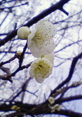 2008022604
