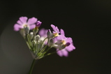 2008022401