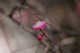 2008030204