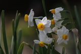 2008022701