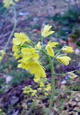 2008022601