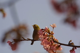 2008022405