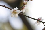 2008022405