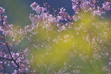 2008022503