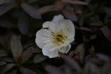 2008022406