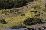 2008022704