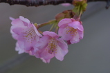 2008022501